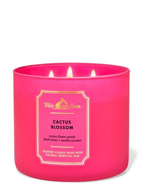 Cactus Blossom Candle Bath & Body works